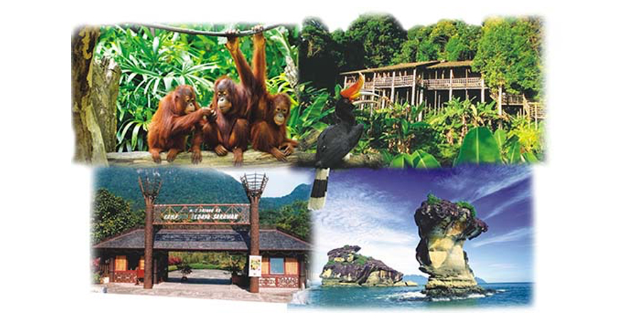 Annual Dermatology Conference 2016